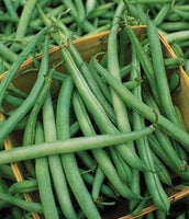 Green Beans: Provider #34