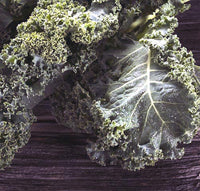 Kale: Improved Dwarf Siberian #422